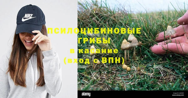 соль курить ск Сатка