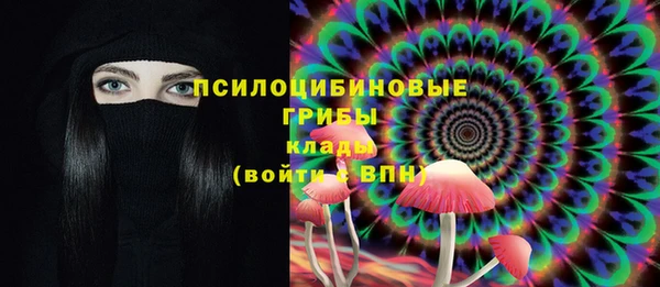 тгк Саяногорск