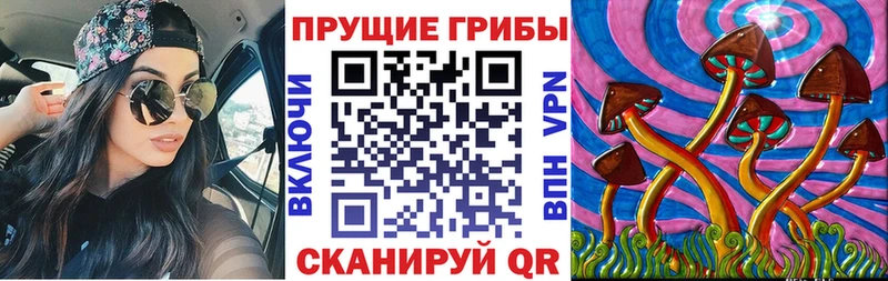 Галлюциногенные грибы GOLDEN TEACHER как найти наркотики Ишимбай