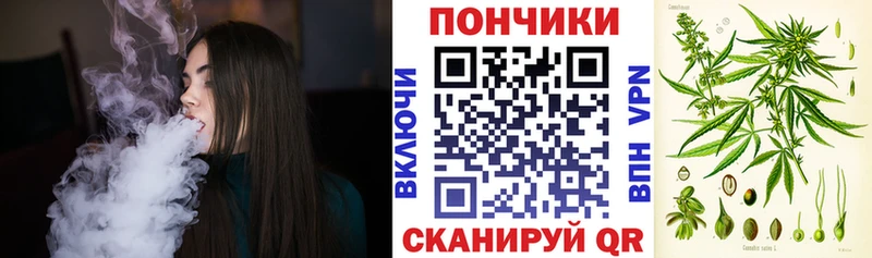 Каннабис планчик  купить  сайты  Ишимбай 